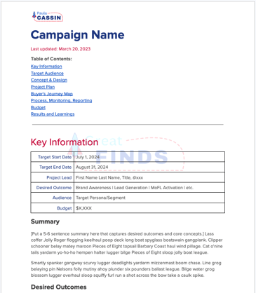 Screenshot of a google doc with a linked table of contents and sections for a campaign plan